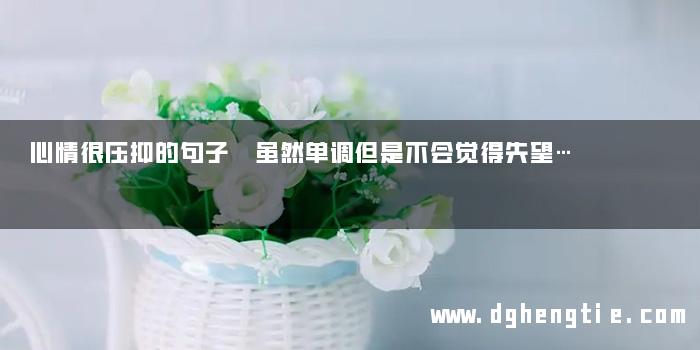 心情很压抑的句子 虽然单调但是不会觉得失望…